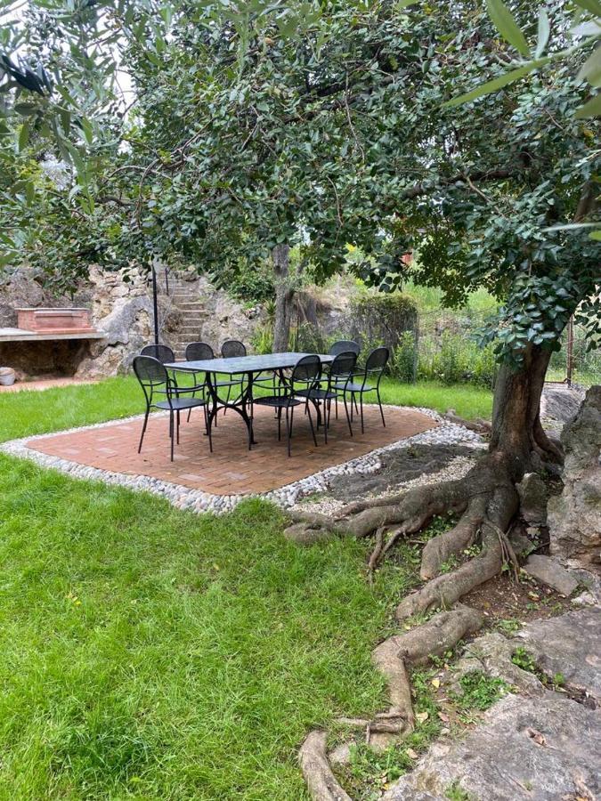 Villa Paolina Ceriale - App. 6 Posti Екстериор снимка